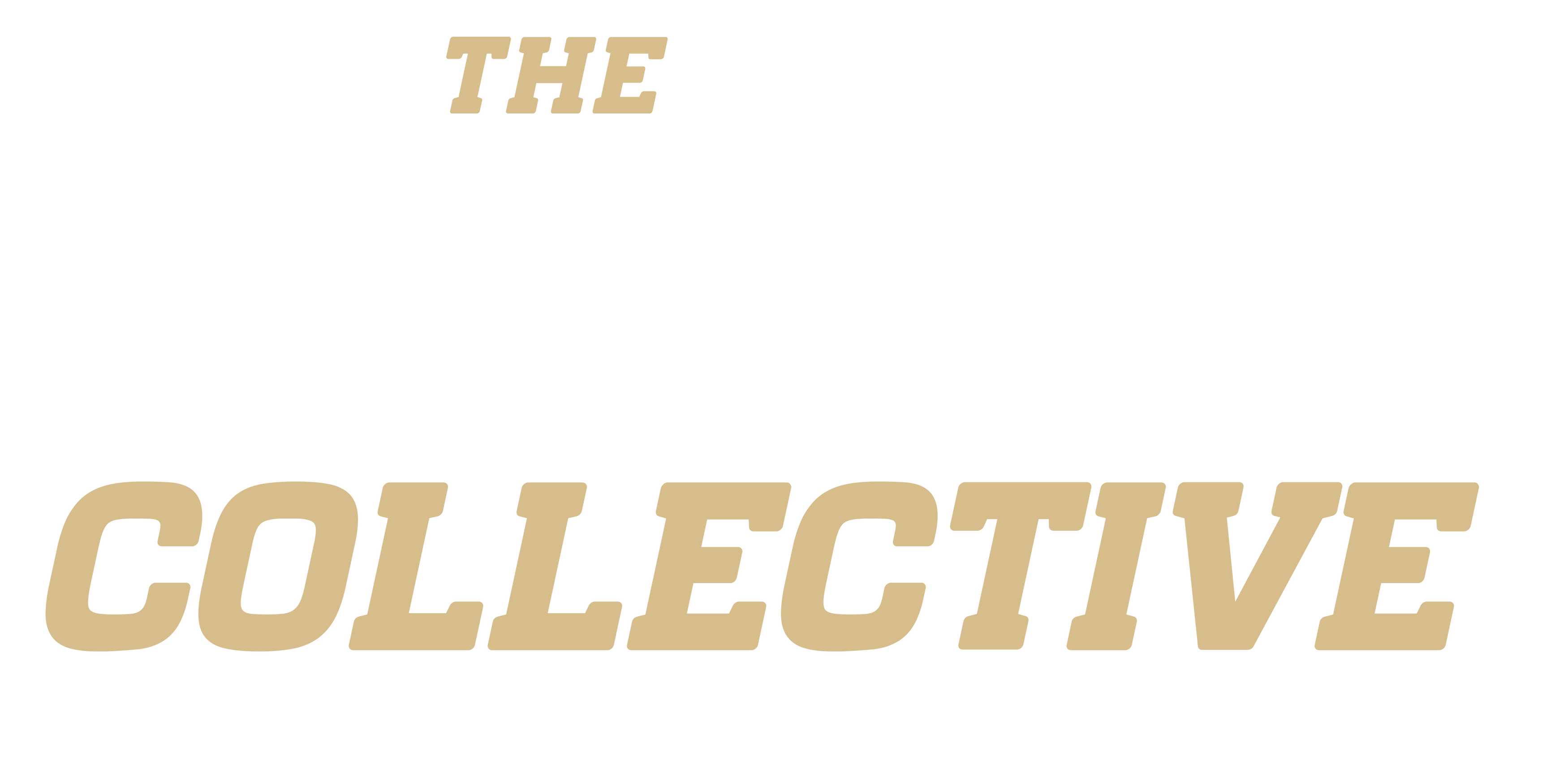 Birdie Collective Logo